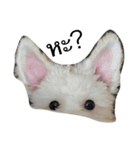 khaopod_ThePomapoo（個別スタンプ：10）
