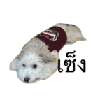 khaopod_ThePomapoo（個別スタンプ：15）