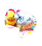 うちのかわインコ（個別スタンプ：2）