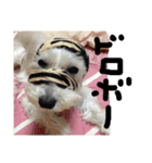 白犬とか黒犬とか（個別スタンプ：9）