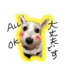 白犬とか黒犬とか（個別スタンプ：18）