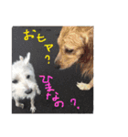 白犬とか黒犬とか（個別スタンプ：23）