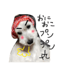 白犬とか黒犬とか（個別スタンプ：24）