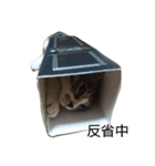 リリヌイ（個別スタンプ：15）