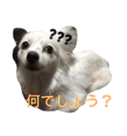 使えるか分からないびびちゃんズ1（個別スタンプ：2）