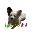 使えるか分からないびびちゃんズ1（個別スタンプ：8）