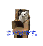 使えるか分からないびびちゃんズ1（個別スタンプ：12）