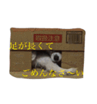 使えるか分からないびびちゃんズ1（個別スタンプ：24）