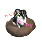 LEONARDOchan（個別スタンプ：3）