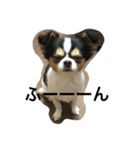 LEONARDOchan（個別スタンプ：6）