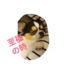 LEONARDOchan（個別スタンプ：7）