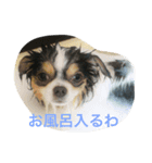LEONARDOchan（個別スタンプ：8）