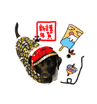 黒ラブ バディ ②（個別スタンプ：15）