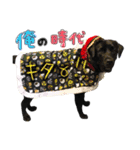 黒ラブ バディ ②（個別スタンプ：16）