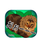 猫友リアル写真スタンプ（個別スタンプ：11）