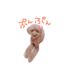 大好きハッピーな日常（個別スタンプ：7）