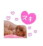 大好きハッピーな日常（個別スタンプ：10）
