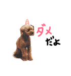 大好きハッピーな日常（個別スタンプ：12）