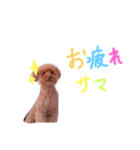 大好きハッピーな日常（個別スタンプ：16）