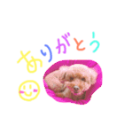大好きハッピーな日常（個別スタンプ：20）