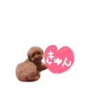 大好きハッピーな日常（個別スタンプ：23）