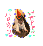 It's Asahi's stamp（個別スタンプ：1）