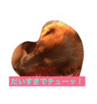 おこたんちゃん（個別スタンプ：2）