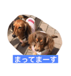 おこたんちゃん（個別スタンプ：7）