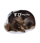 おこたんちゃん（個別スタンプ：13）