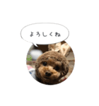 haruonosmile2（個別スタンプ：1）