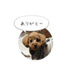 haruonosmile2（個別スタンプ：2）