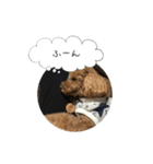 haruonosmile2（個別スタンプ：4）