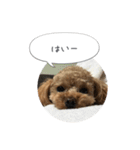 haruonosmile2（個別スタンプ：5）