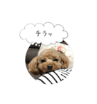 haruonosmile2（個別スタンプ：6）