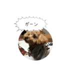 haruonosmile2（個別スタンプ：8）