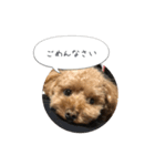 haruonosmile2（個別スタンプ：9）