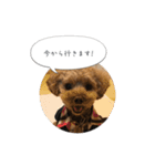 haruonosmile2（個別スタンプ：12）