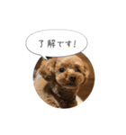 haruonosmile2（個別スタンプ：13）