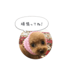haruonosmile2（個別スタンプ：15）