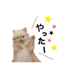 鈴木ハナです...♩（個別スタンプ：1）