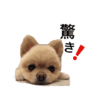 鈴木ハナです...♩（個別スタンプ：6）