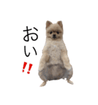 鈴木ハナです...♩（個別スタンプ：7）