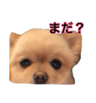 鈴木ハナです...♩（個別スタンプ：9）
