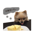 鈴木ハナです...♩（個別スタンプ：10）
