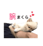鈴木ハナです...♩（個別スタンプ：11）
