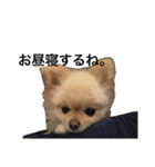 鈴木ハナです...♩（個別スタンプ：14）