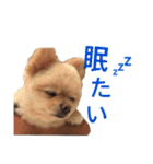 鈴木ハナです...♩（個別スタンプ：20）