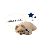 鈴木ハナです...♩（個別スタンプ：21）