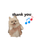 鈴木ハナです...♩（個別スタンプ：22）