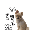 鈴木ハナです...♩（個別スタンプ：23）
